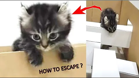 Watch the video about Mission possible!! MAZE CHALLENGE!!!!