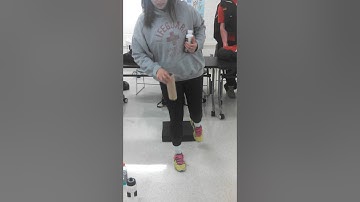 KNES370 - Sensorimotor Integration I