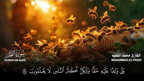سورة النحل .... القارئ الشيخ محمد الفقيه
