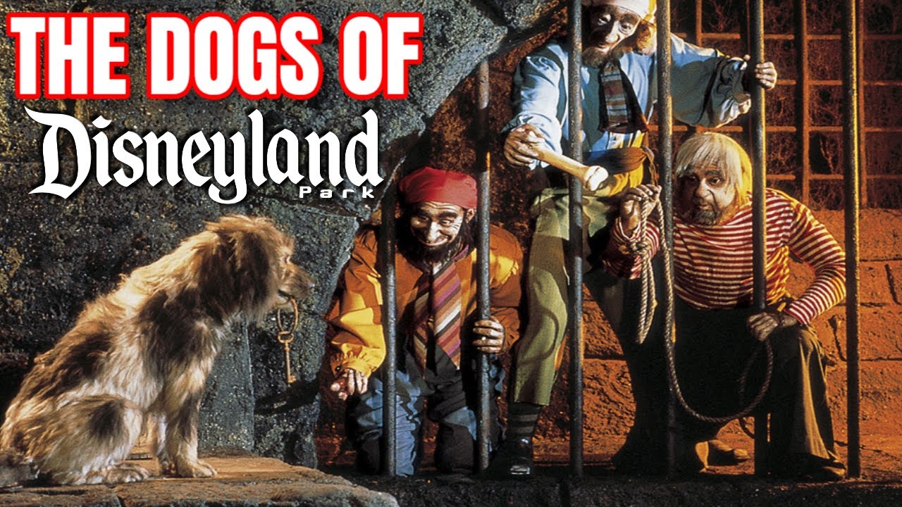 Can You Bring Dogs To Disneyland