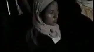 Denis arista~mengapa~sera