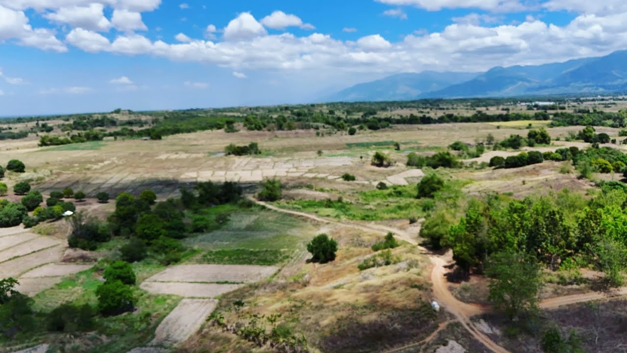 V#139  132 HECTARES,GOOD FOR SOLAR AND AGRO INDUTRIAL(POULTRY OR PIGGERY)@mr.excitementmixvlog