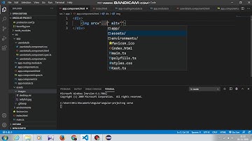 How to add a image in angular 1000% working method