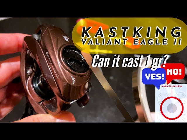 How to Upgrade your BFS Reel? Kastking Valiant Eagle 2 