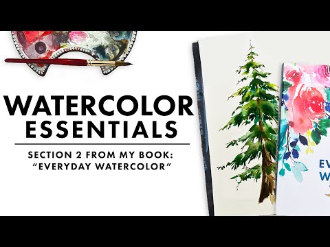 The Beginner's Guide to Watercolor Brushes 