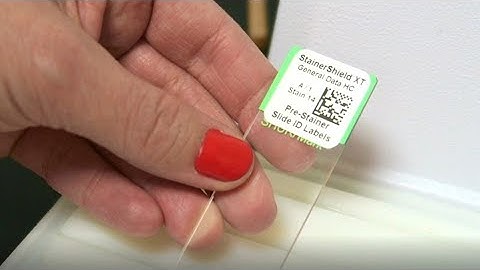 StainerShield XT Xylene and Chemical Resistant Slide Labels