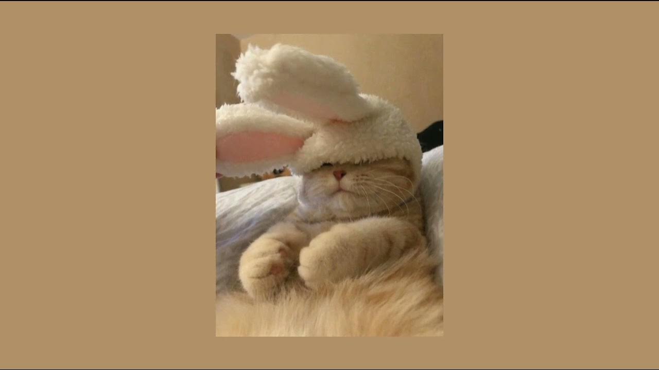 бахрома пока пора. пока пока песня bahroma. пока-пора bahroma. пока-пора bahroma. бахрома пока пора.