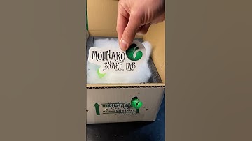 🐍We had to say good bye to another #ballpython🧪 #molinarosnakelab #snakes #snakebreeder #babysnake