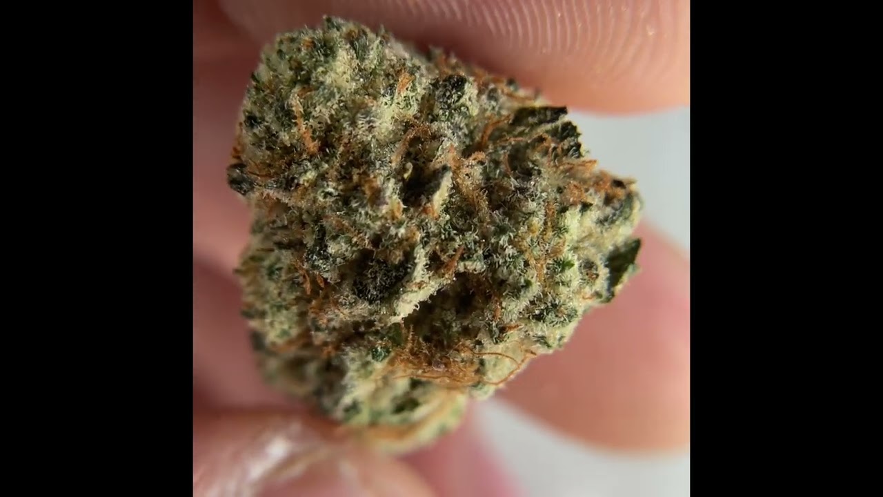 Rythm Black Afghan Flower Review