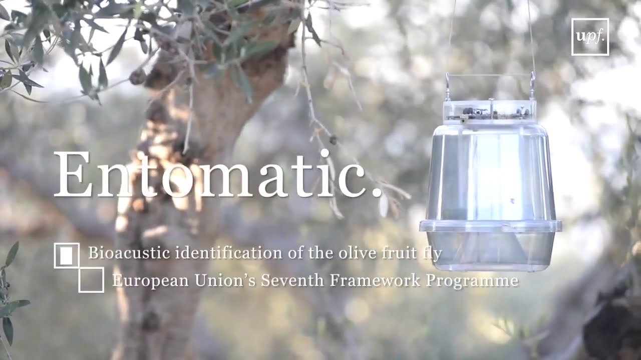 ENTOMATIC - YouTube