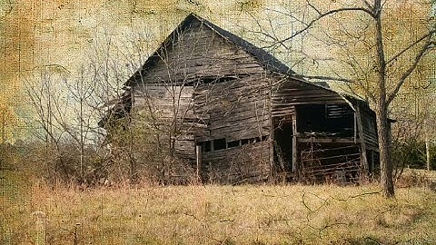 Texture Overlay Using Photoshop Elements 2020