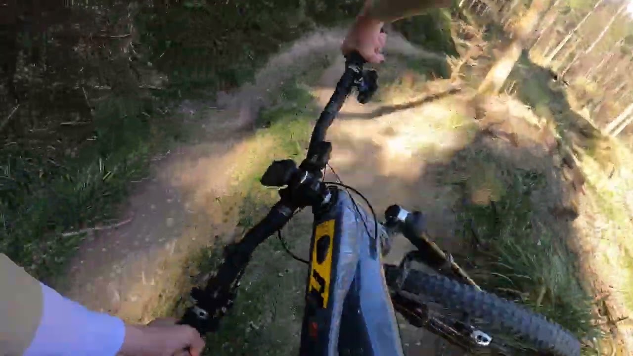 Bikepark Schienerberg Laps 2025