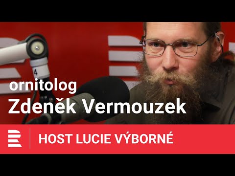 Zdeněk Vermouzek: Proč