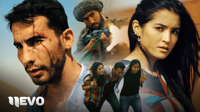 Tepadagi mushuklarning fotosuratlari Fohishalar nima qilishi mumkin?