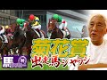 【2023 菊花賞】出走馬ジャッジ