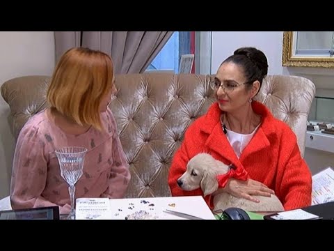 Video: Kada geriausias laikas apsilankyti geltonajame peiliu?