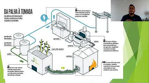 O que é biomassa da cana?