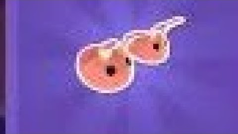 Giant Rush level 208-209 #droidplay #giantrush #shorts #androidgame