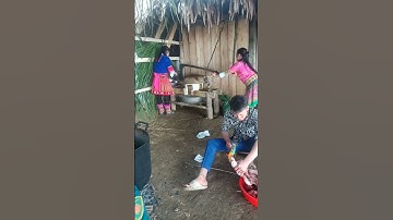 phong tục vùng cao của người mông ở miền núi |@hmoobyajchannel1993