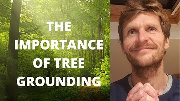 TREE GROUNDING - Why everyone needs it