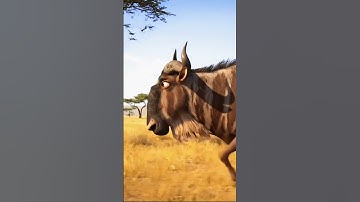 Safari Animal Sounds Song | Nursery Rhyme for Kids - Learn Animal Names and Sounds riya_toons