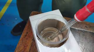 pH Calibration of BOQU Multi-Channel pH Transmitter
