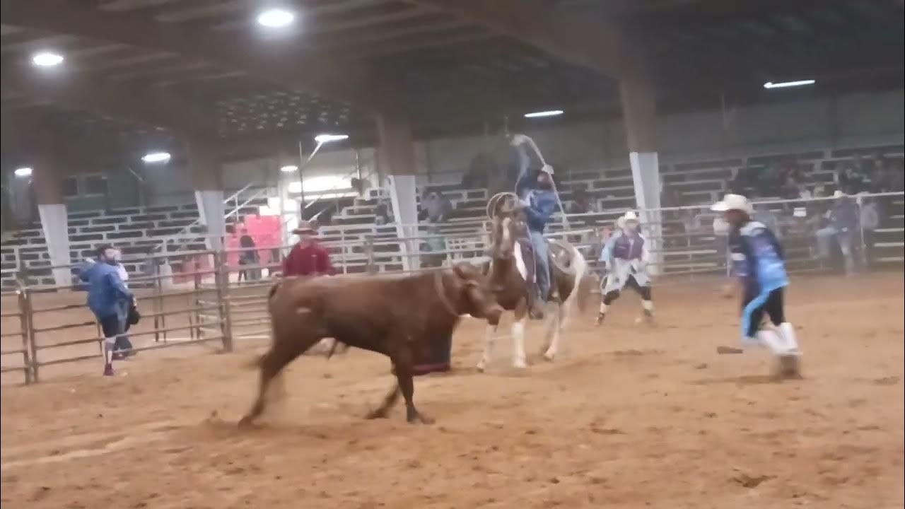 Saline County Fairgrounds Rodeo Arkansas YouTube