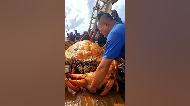 big crab caught  #fishing #deepsea #deepocean #ai #seafood #deepseafishing #crab #pacificocean