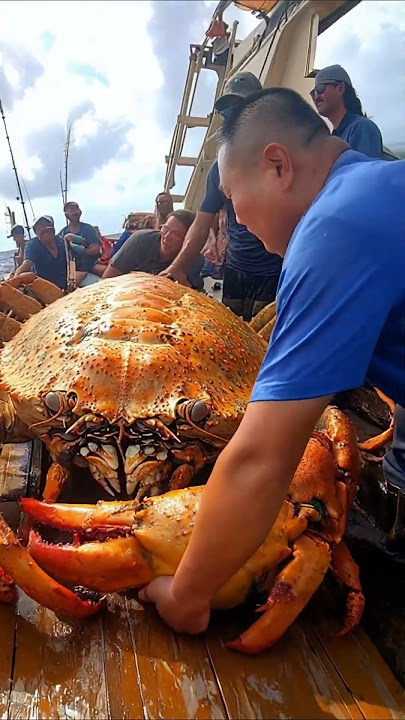 big crab caught  #fishing #deepsea #deepocean #ai #seafood #deepseafishing #crab #pacificocean