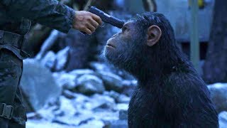 関連動画