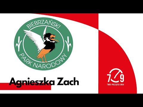 Wideo: Kompletny przewodnik po Parku Stanowym Trione-Annadel