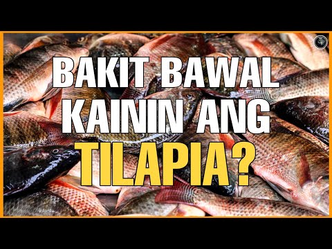 Video: Paano Lutuin Ang Pandikit Ng Karluk Fish