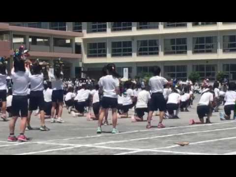 2017 運動会