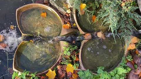 Large Emerson Flowforms in household sewage pond. Rhythmic water supporting life.
