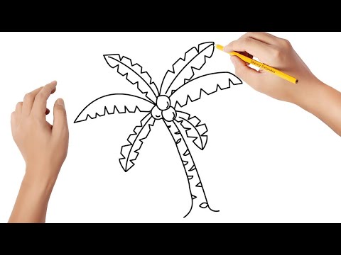 Vídeo: Como Desenhar Uma Palmeira