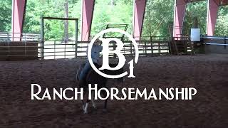 Famous Check out our Snaffle Bit Basics Series @b1horsemanship Net Worth