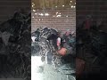 انظرو عندما كبر الملطي