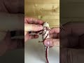 Episode 1 - Should I 3d Print it? Or Should I Keep on Scrolling? #3dprint #axolotl