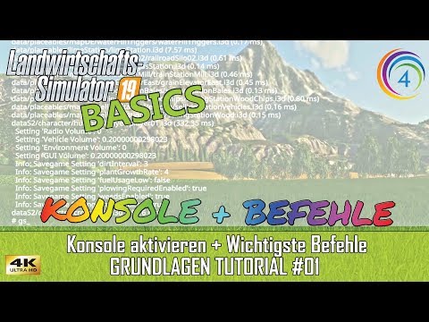 LS19 - Grundlagen Tutorial #01 | Konsole aktivieren + Wichtigste Befehle | FS19 | ANLEITUNG [4K]