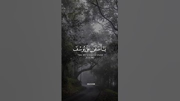 وتولى عنهم وقال يا أسفى على يوسف _ سورة يوسف #quran #قران #explorepage