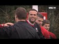 Wales v Pumas countdown