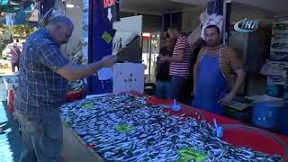 05E9F444 Bb42 47B3 B431 Aed77B3D80D2