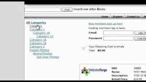 What Are Ecommerce Categories - Websiteforge Ecommerce Website