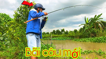 Câu Cá Tra Sông Mùa Nước Nổi - Bãi Câu Mới Đẹp Có Cá Ục Nhiều | Fishing - Miền Tây