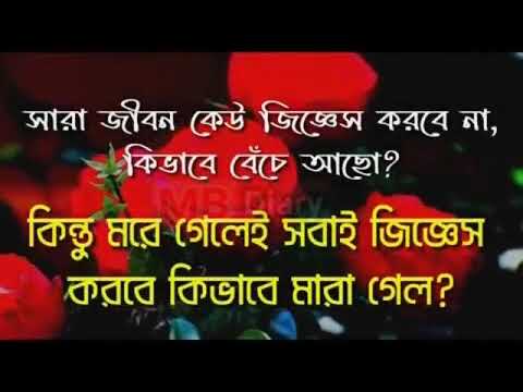 ভিডিও: নীল প্রজাপতির প্রতীকী অর্থ কী?