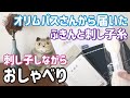 【おしゃべり動画】オリムパスさんからプレゼントの刺し子ふきんと糸が届きました