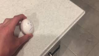 Mr. Egg commits eggicide 🥚 ➡️ 🍳