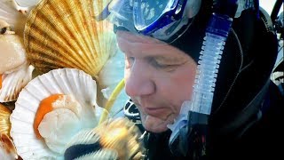 Гордон Рамзи ловит и готовит гребешки Гордон Рамзи ловит и готовит гребешки