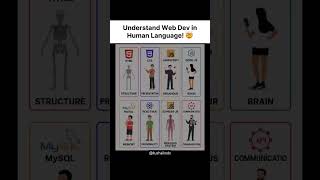 Web Dev Explained in Human Language #coding #webdevelopment #Nepalcodingschool