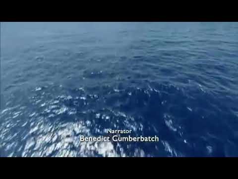 Video: Adalar Nasıl Oluşur